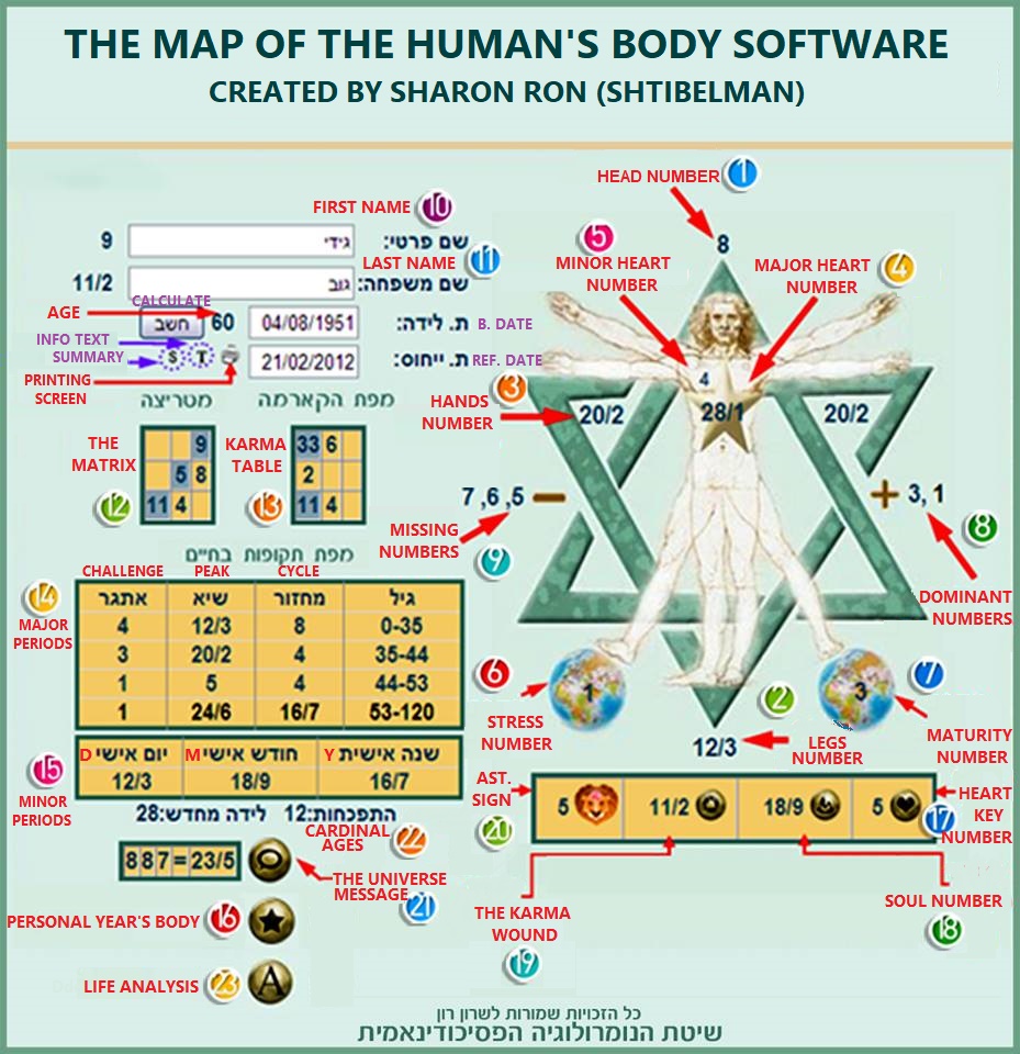 מפת המיקומים של תוכנת גוף האדם באנגלית.jpg